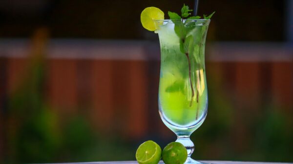 A vibrant mojito cocktail served with lime and mint leaves in a tall glass.